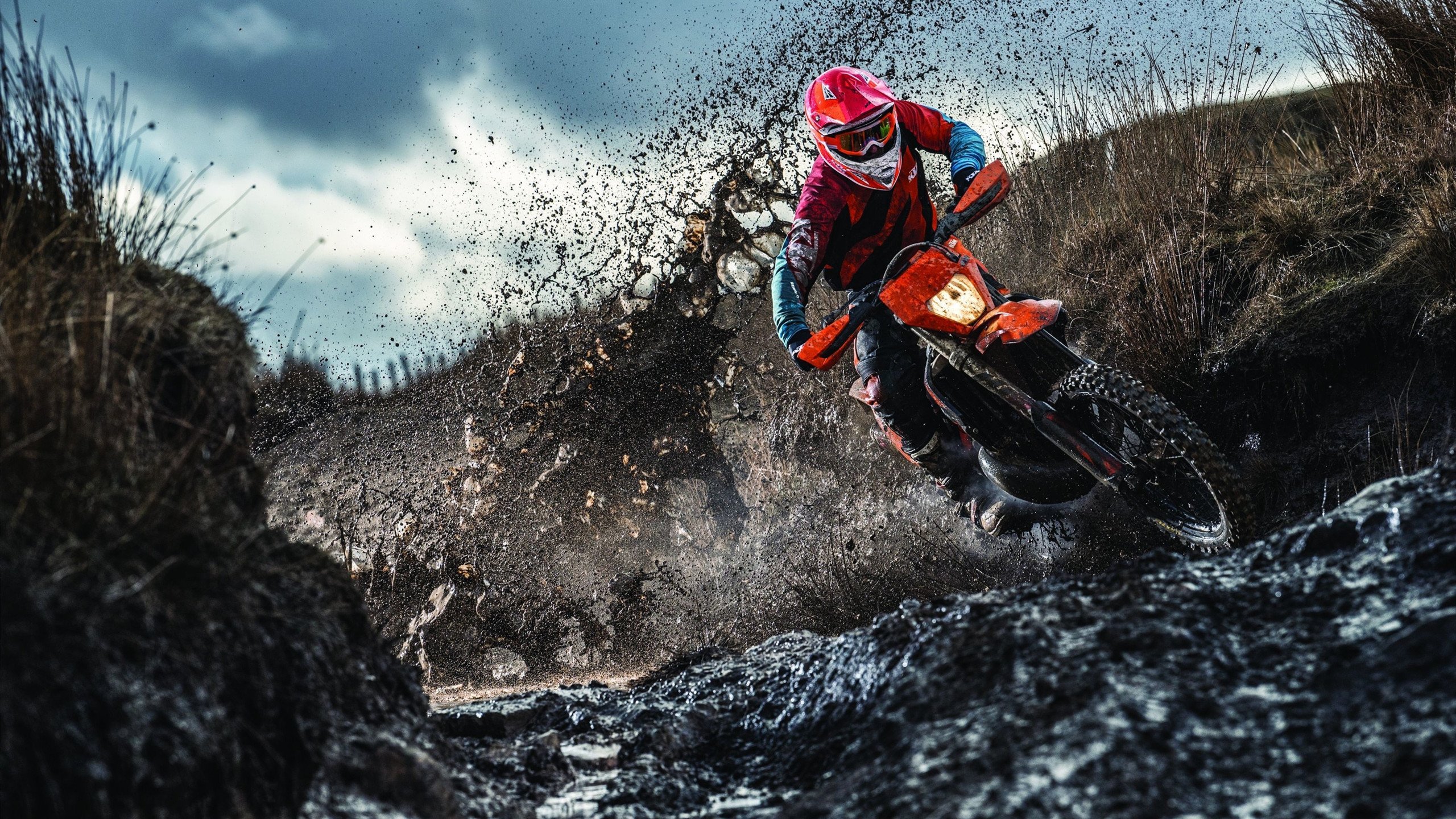 强者集结：美国职业体育全明星周末，美国最受欢迎的体育明星